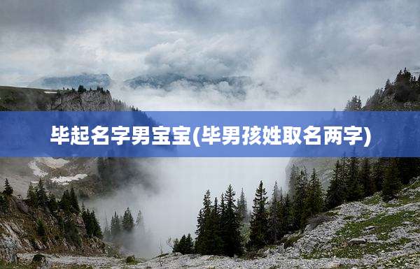 毕起名字男宝宝(毕男孩姓取名两字)