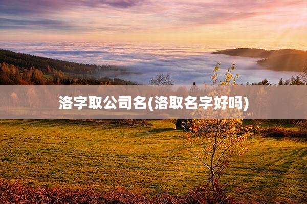 洛字取公司名(洛取名字好吗)