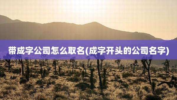 带成字公司怎么取名(成字开头的公司名字)