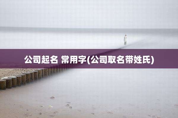 公司起名 常用字(公司取名带姓氏)