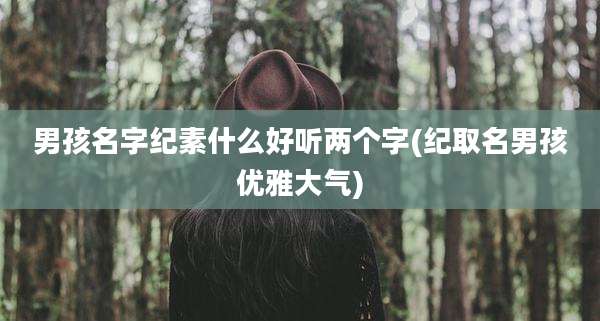 男孩名字纪素什么好听两个字(纪取名男孩优雅大气)