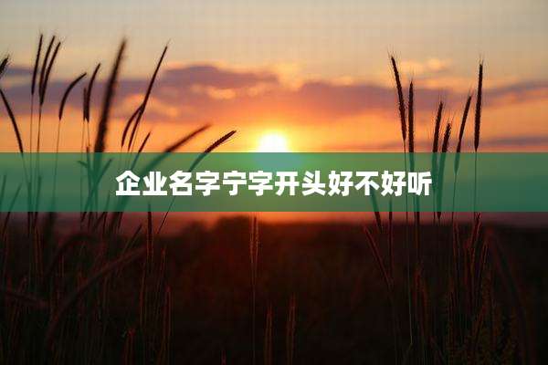 企业名字宁字开头好不好听