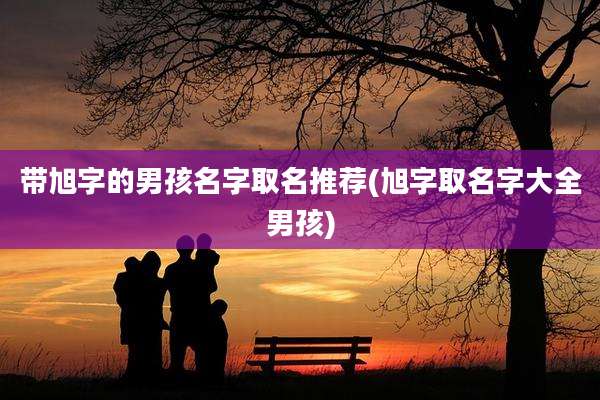 带旭字的男孩名字取名推荐(旭字取名字大全男孩)