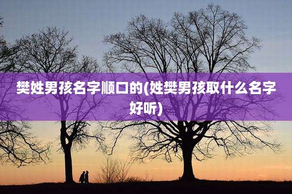 樊姓男孩名字顺口的(姓樊男孩取什么名字好听)