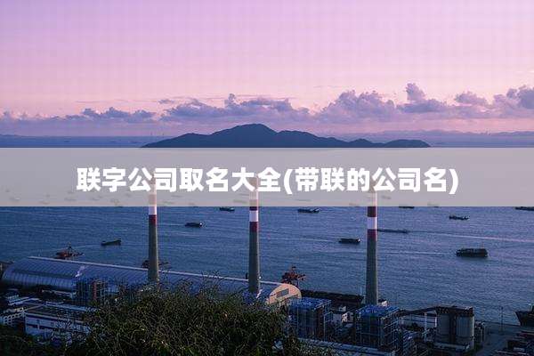 联字公司取名大全(带联的公司名)