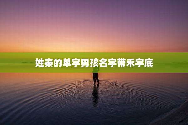 姓秦的单字男孩名字带禾字底