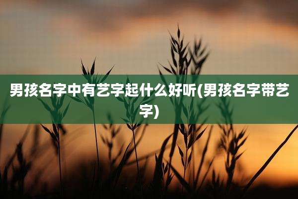男孩名字中有艺字起什么好听(男孩名字带艺字)