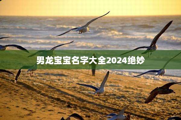男龙宝宝名字大全2024绝妙