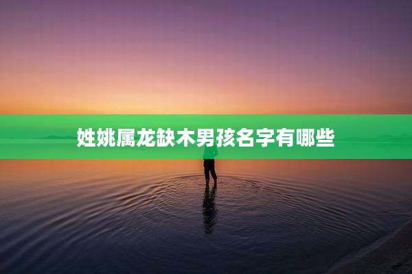 姓姚属龙缺木男孩名字有哪些