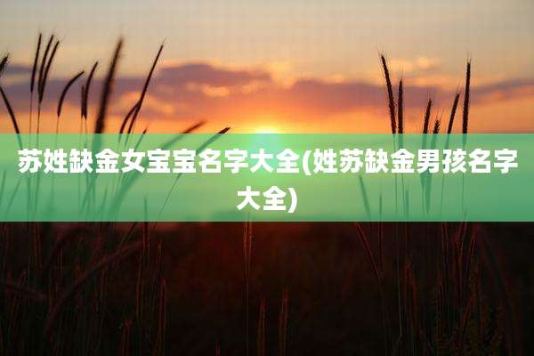 苏姓缺金女宝宝名字大全(姓苏缺金男孩名字大全)