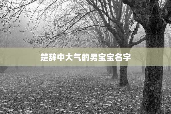 楚辞中大气的男宝宝名字