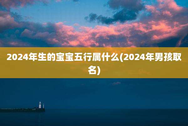 2024年生的宝宝五行属什么(2024年男孩取名)