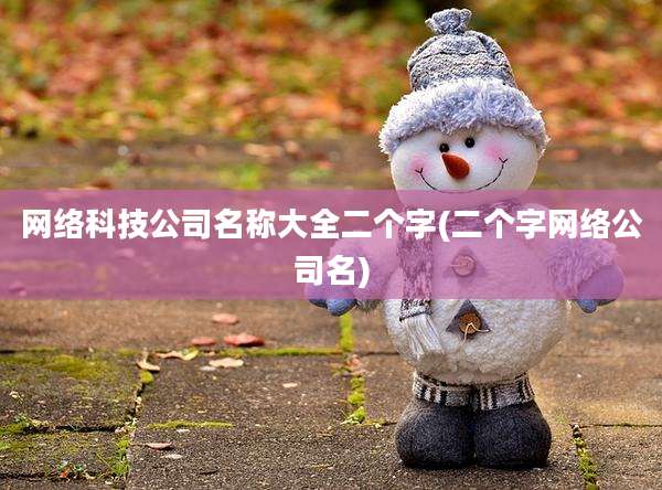 网络科技公司名称大全二个字(二个字网络公司名)