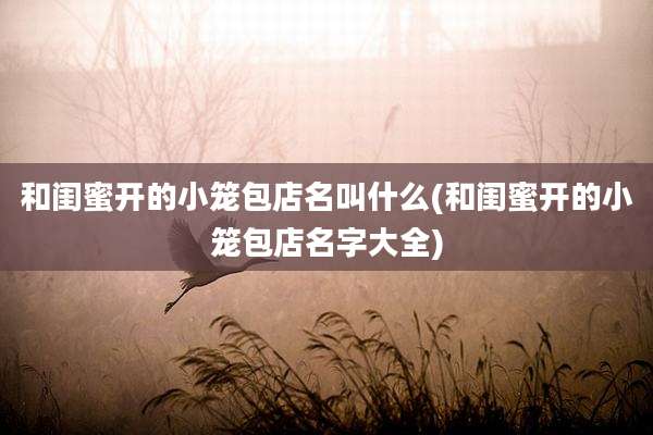 和闺蜜开的小笼包店名叫什么(和闺蜜开的小笼包店名字大全)