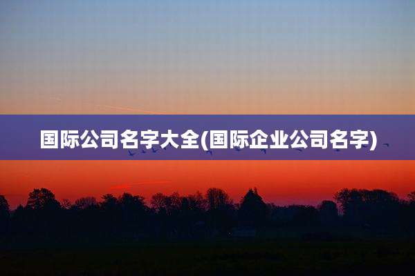 国际公司名字大全(国际企业公司名字)