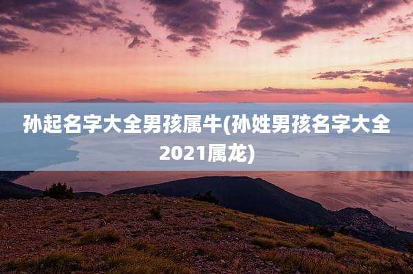 孙起名字大全男孩属牛(孙姓男孩名字大全2021属龙)
