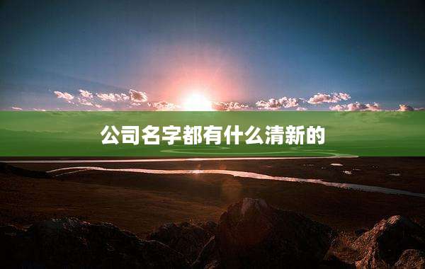 公司名字都有什么清新的