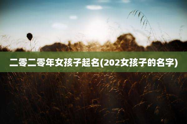 二零二零年女孩子起名(202女孩子的名字)