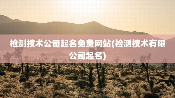 检测技术公司起名免费网站(检测技术有限公司起名)