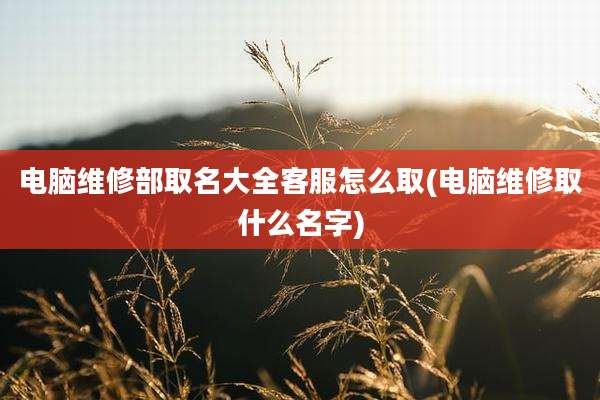 电脑维修部取名大全客服怎么取(电脑维修取什么名字)