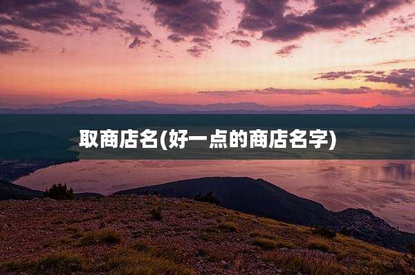 取商店名(好一点的商店名字)
