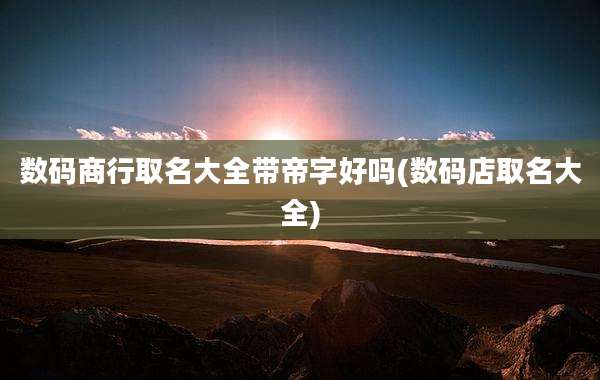 数码商行取名大全带帝字好吗(数码店取名大全)