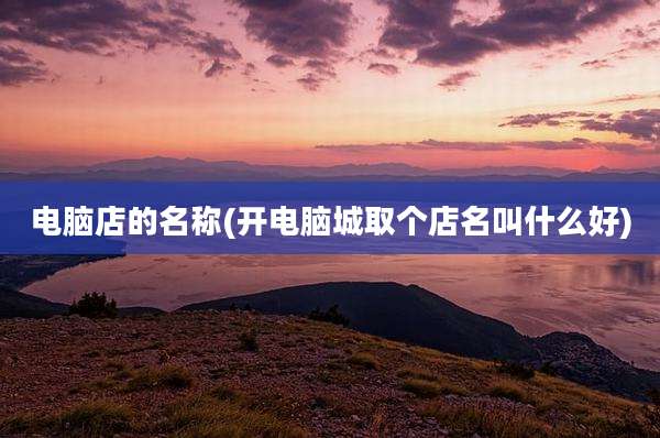 电脑店的名称(开电脑城取个店名叫什么好)