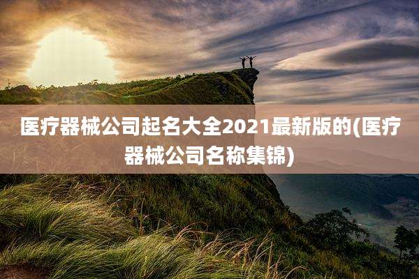 医疗器械公司起名大全2021最新版的(医疗器械公司名称集锦)