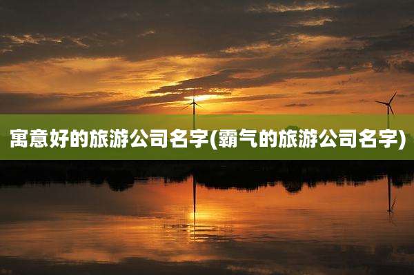 寓意好的旅游公司名字(霸气的旅游公司名字)