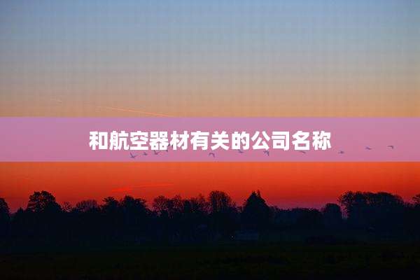 和航空器材有关的公司名称
