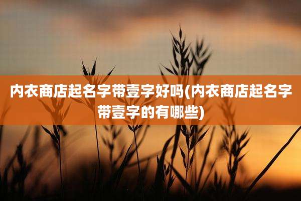 内衣商店起名字带壹字好吗(内衣商店起名字带壹字的有哪些)