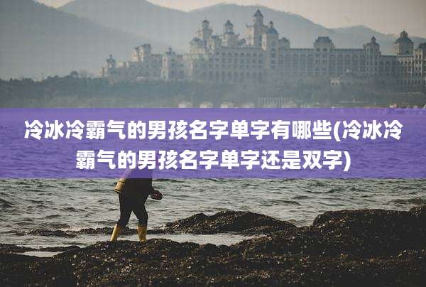 冷冰冷霸气的男孩名字单字有哪些(冷冰冷霸气的男孩名字单字还是双字)