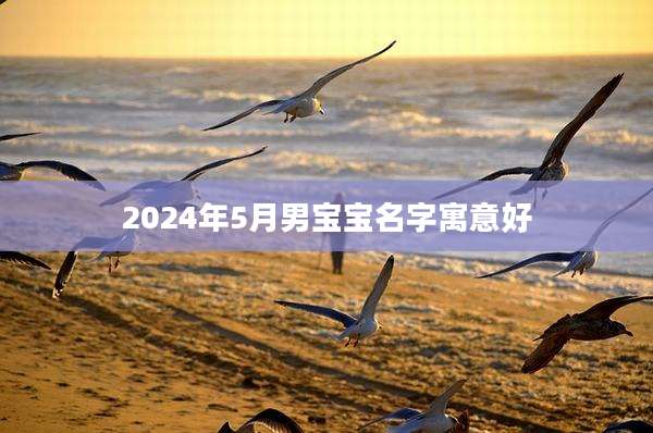 2024年5月男宝宝名字寓意好