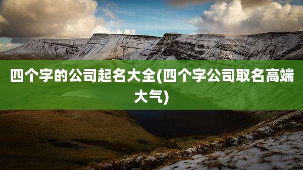 四个字的公司起名大全(四个字公司取名高端大气)