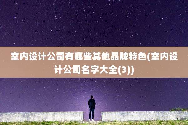 室内设计公司有哪些其他品牌特色(室内设计公司名字大全(3))