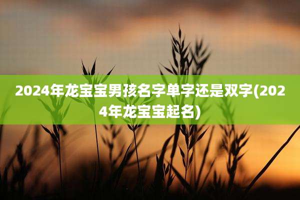 2024年龙宝宝男孩名字单字还是双字(2024年龙宝宝起名)