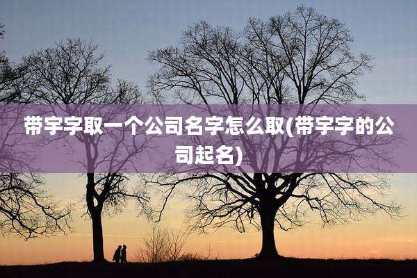 带宇字取一个公司名字怎么取(带宇字的公司起名)