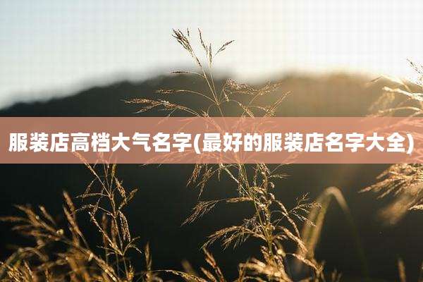 服装店高档大气名字(最好的服装店名字大全)