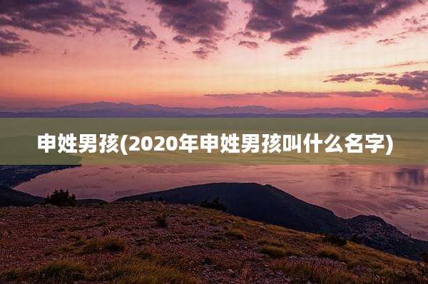申姓男孩(2020年申姓男孩叫什么名字)