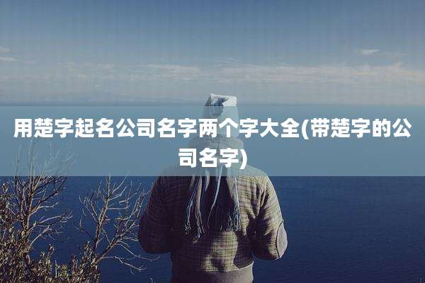 用楚字起名公司名字两个字大全(带楚字的公司名字)