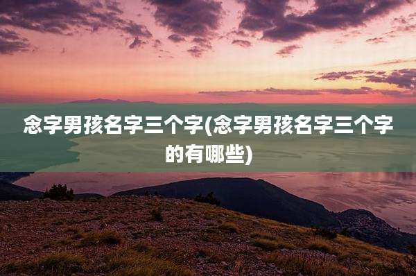 念字男孩名字三个字(念字男孩名字三个字的有哪些)