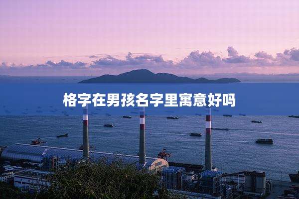 格字在男孩名字里寓意好吗