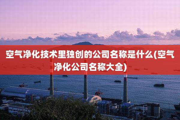 空气净化技术里独创的公司名称是什么(空气净化公司名称大全)