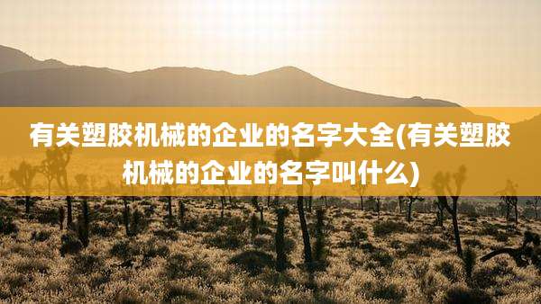 有关塑胶机械的企业的名字大全(有关塑胶机械的企业的名字叫什么)