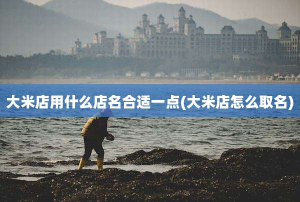大米店用什么店名合适一点(大米店怎么取名)