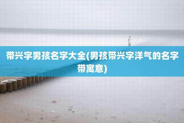 带兴字男孩名字大全(男孩带兴字洋气的名字带寓意)
