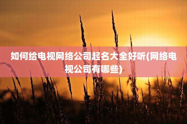 如何给电视网络公司起名大全好听(网络电视公司有哪些)