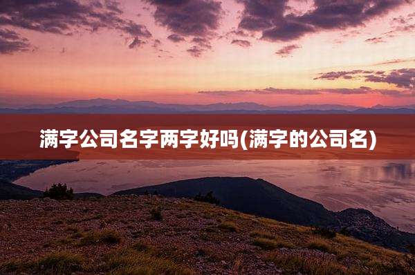 满字公司名字两字好吗(满字的公司名)