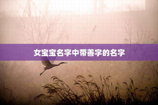 女宝宝名字中带善字的名字