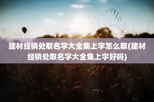 建材经销处取名字大全集上字怎么取(建材经销处取名字大全集上字好吗)